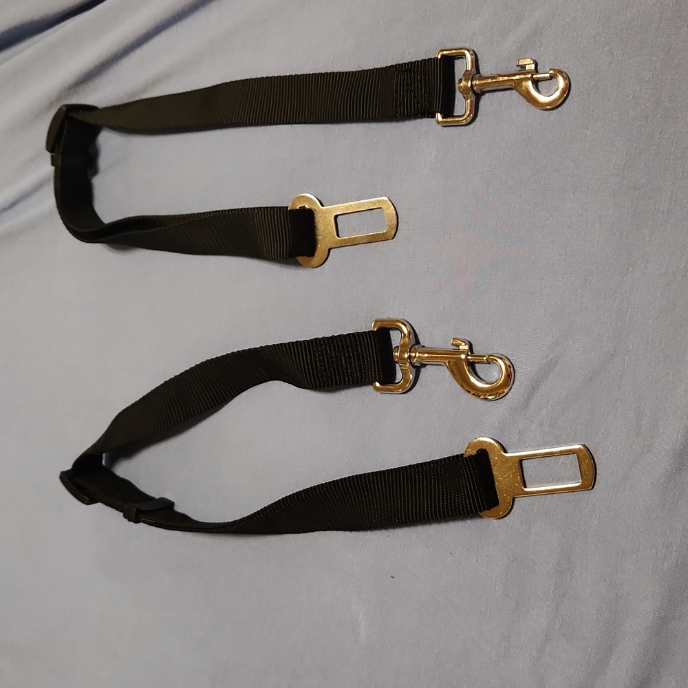 Doggy Seat Belts
